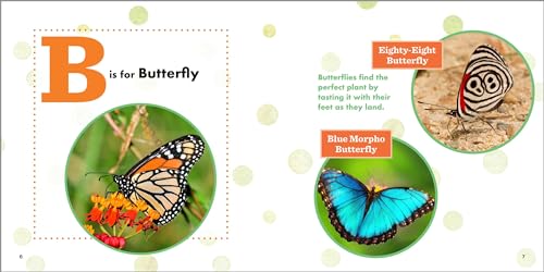 ABC Bug Book for Kids