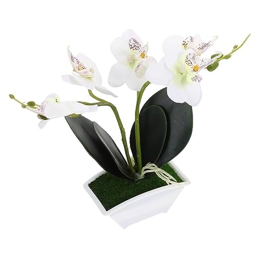 MAGICLULU Adornos De Árboles Frutales En Maceta Simulados. Mini Planta En Maceta Orquideas Orquídea Blanca Falsa Decoración De La Cocina De Orquídeas Blanco El Plastico Artificial Colocar