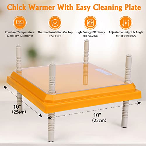 Pitalok F313 Brooder Heater For Chicks: Chick Brooder Heating Plate thumb #1