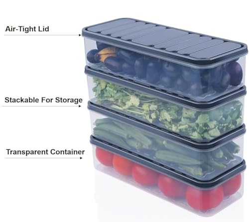 Image of TASMAX Fridge Storage Boxes, Plastic Fridge Containers, Fridge Accessories Items, (MODULAR CONTAINER)