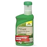 Neudorff BioKraft Vitalkur für Buxus & Ilex – Konzentrat vitalisiert geschwächte Buchsbäume durch Schädlinge, Krankheiten, Frost und Trockenheit, 300 ml