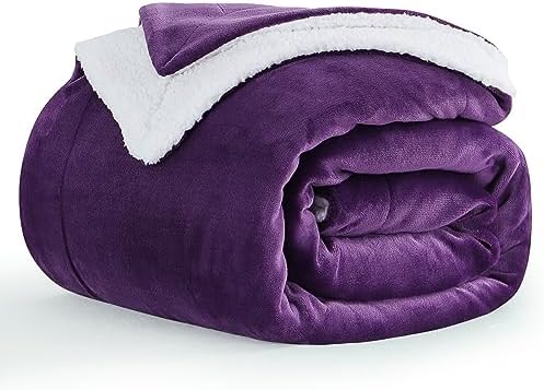 Aisbo Manta Sofa Invierno Polar - Mantas para Cama 90 Gruesa Calentita Manta de Sofá Suave y Caliente con Borreguito, Reversible de Franela y Borrego Violeta 150x200, Sherpa Blanket