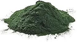 Chorella Clorela em Pó 100g Wenutri