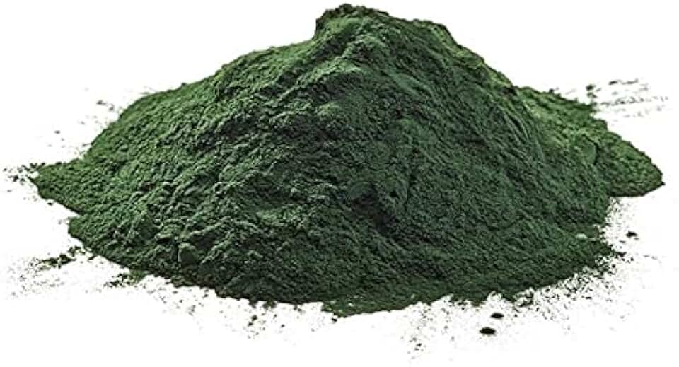 Clorella em Pó 500g Wenutri
