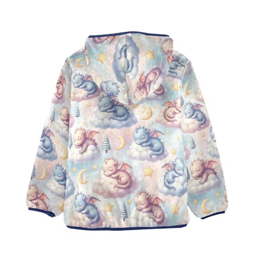 CHIFIGNO Cute Dragons Boys Zip up Jacket Fleece Outerwear Jackets for Fall Winter Zip up Hoodie 3T2
