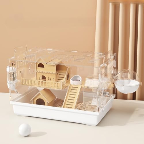 Fiyyuga ȃnX^[P[WʂȃANCނ̑傫ȃXy[XA^Bґ (fbNXpbP[W,i`)