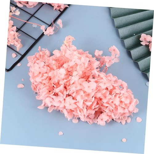 Natural Fresh Preserved Hydrangea Petals 1 Pack miniatura 6