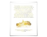 Fourteenth Amendment US Constitution Gold Foil Art Print. 7 Foil Colours. Sedition Insurrection Treason. Capitol Domestic Terrorism