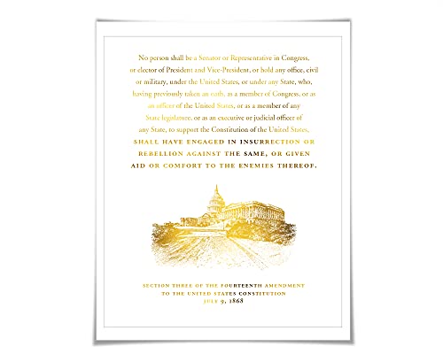Fourteenth Amendment US Constitution Gold Foil Art Print. 7 Foil Colours. Sedition Insurrection Treason. Capitol Domestic Terrorism