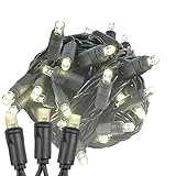 Novelty Lights 100 Light LED Christmas Mini Light Set, Outdoor Lighting Party Patio String Lights, Warm White, Black Wire, 34 Feet