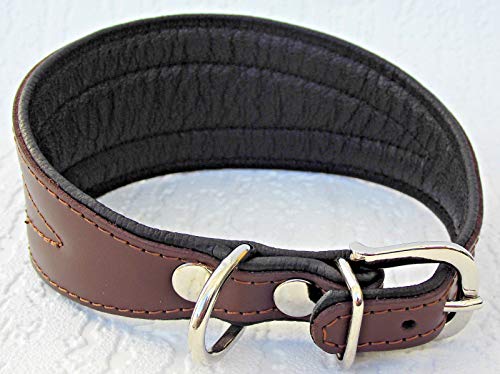 Greyhound Podenco Windhund - Halsband, Halsumfang 40-47 cm Leder °BRAUN°