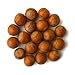 Crazy Nuts | Oregon Grown Large Raw Hazelnuts In Shell, 10lb | Whole Hazelnuts to Eat and for Wildlife, Avellanas Naturales