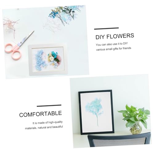 Kit de Flores Secas Prensadas Natural para Manualidades miniatura 3