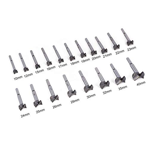 Flintronic Professional ForstnerBohrer, 19-tlg Forstner Bit(10-40mm), Set, Holzbohrer, Cutter mit Rundschaft, Bohrer für Holz, Zubehör Bohrmaschine für Holzbearbeitung