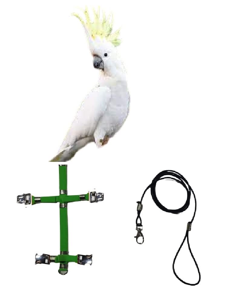 Arnés para loros elástico anti tirones con enganches desmontables de acero