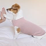 Hundeshirt für Kleine Hunde | Sommer Hund T-Shirt Atmungsaktiv & Leicht | Weich & Bequem, Rundhals Design | Hunde Bekleidung | Chihuahua (Rosa XXS)