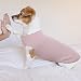 Hundeshirt für Kleine Hunde | Sommer Hund T-Shirt Atmungsaktiv & Leicht | Weich & Bequem, Rundhals Design | Hunde Bekleidung | Chihuahua (Rosa XXS)