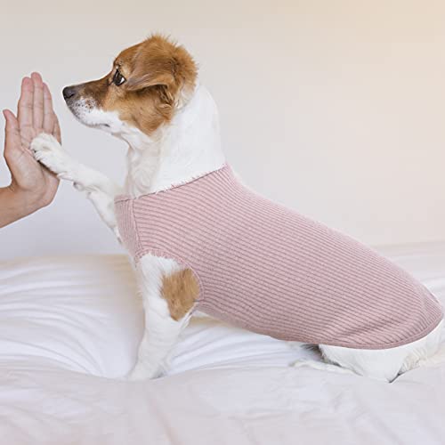 Hundeshirt für Kleine Hunde | Sommer Hund T-Shirt Atmungsaktiv & Leicht | Weich & Bequem, Rundhals Design | Hunde Bekleidung | Chihuahua (Rosa XXS)