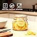 Encheng 16 oz Glass Jars With Airtight Lids And Leak Proof Rubber Gasket,Wide Mouth Mason Jars With Hinged Lids For Kitchen,Glass Storage Containers 6 Pack