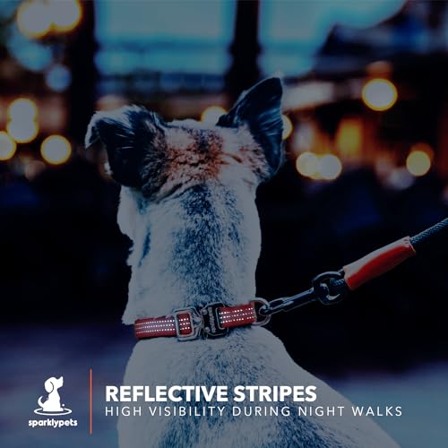 Collier chien très petite taille anti-perte avec support AirTag et doublure douce