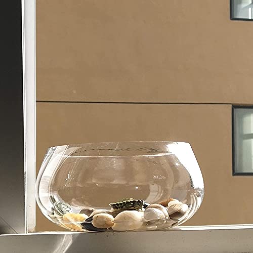 Aleker Decorative Pebbles, 2.2lb Natural Small Polished Mixed Stones Gravel for Plant Aquariums, Flowerpot, Landscaping, Ponds,Terrariums Vase Fillers, DIY, Home Garden Decoration(Approx.0.5-1.2 inch)