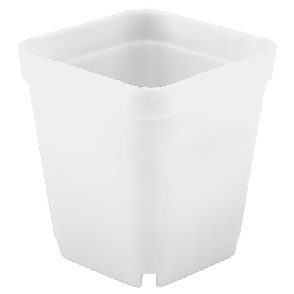 Atyhao 20pcs Mini macetas de Plantas suculentas Modernas pequeños recipientes de plástico, macetas cuadradas para Fregar(Blanco)