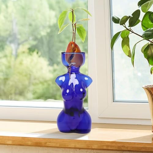 Vasos de propagação, vaso de vidro para plantas, vasos de propagação, vaso de flores exclusivo para