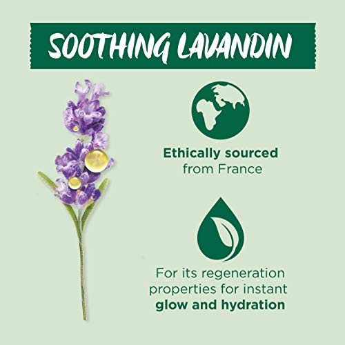 Garnier Organic Soothing Lavandin Glow Facial Oil Healthy Smooth And Glowing Skin, 30ml - Image 6