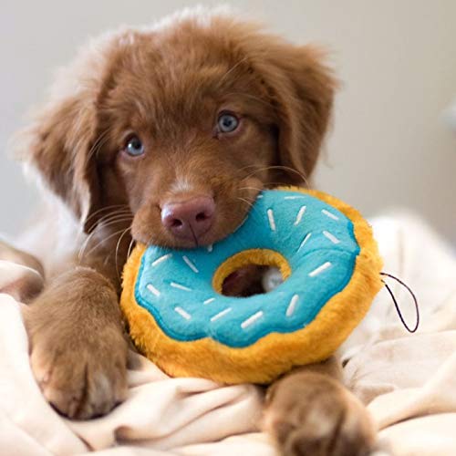 Zippy Paws ZP257 Donutz Blueberry Dog Toy