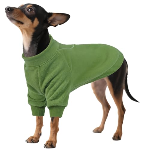 QBLEEV pp[J[ ^p \tgt[X vI[o[ pXEFbgVc Wbp[t ~ g t[ht XEFbgVc 풅pAybghAO[AS