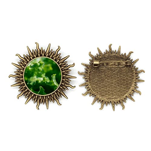 Broche Haken métal nature pour vos sorties de photographie