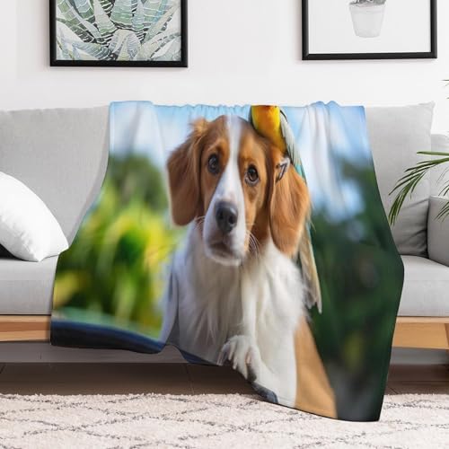 Manta de forro polar texturizada de 180 x 200 cm para salones 3