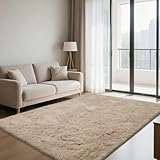 Fluffy Rug Shaggy Area Rug, Beige 4x6 Area Rugs for Bedroom, Small Bedside Rug, Soft Fluffy Shaggy Entryway Throw Rugs for Living Room Bedroom Kids Room Home Decor
