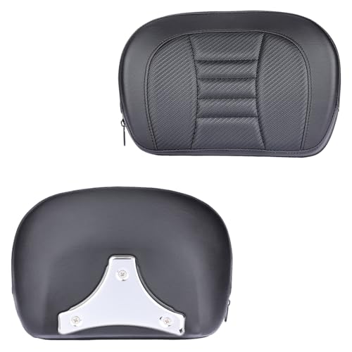 Barre Sissy Passager de Qualité Supérieure pour Harley Freewheeler FLRT 2015-2020