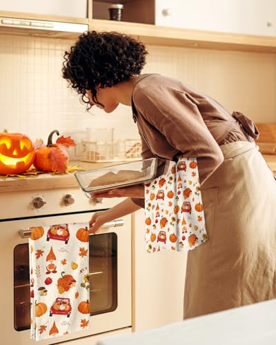 Image of 150GSM Flour Sack Kitchen Towels Set of 2, Harvest | 18 inchx26 inch, Lightweight, Lint-Free, Pure Cotton, Decorative, with Hanging Loop, Absorbent, Softer after Wash, Giftable Package