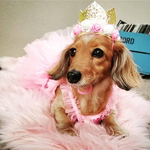 Pet Birthday Party Crown with 0-9 Figures Charms (Gold) - Image 4