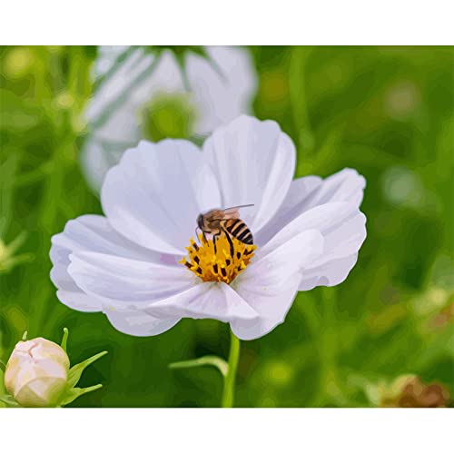 Peinture au diamant 5D adultes abeille fleurs kit art strass 30x40