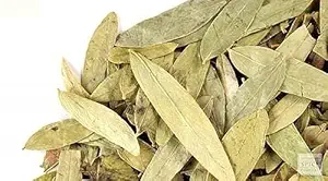 Rasna Pan-Rasna Leaves-Rasnai Leaf-Ray Sanay Patta-Rai Senna-Pluchea Lanciolata (250 Gms)