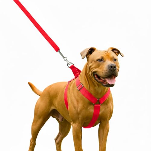 Peitoral Americano Premium para Cães Grandes, Material Super Resistente, Ajustável 360°, Sistema Anti-Puxão, com Guia (Vermelho)