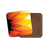 Destination Vinyl Ltd