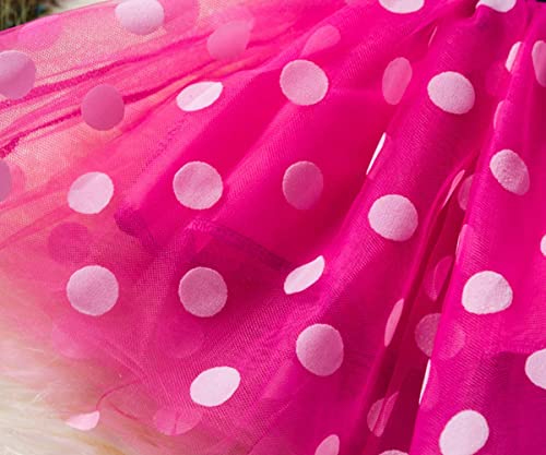 Image of Nileafes Girls Princess Mini Mouse Costume Toddler Birthday Party Fancy Dress Up