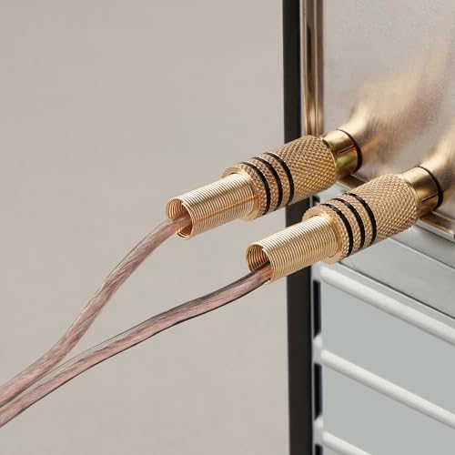 AmazonBasics 16-Gauge/AWG Speaker Wire, Oxygen-Free Copper, Two Conductors, Audio Speaker Cable for Car, Stereo, Subwoofer, Home Theatre, Hi-Fi Surround Sound (50 Feet, Copper, Transparent) 5 41kl+ABK4kL