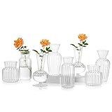 JARRES PEQUEÑOS PARA FLORES: Estos pequeños jarrones para flores son también encantadores, mini y lo suficientemente lindos como para dejarlos vacíos y apreciarlos por sí mismos y seguramente realzarán el aspecto de cualquier mesa o estantería. Téngalo para usted mismo o envíelo como regalo en Bodas, Inauguraciones, Acción de Gracias, Aniversarios, Cumpleaños. Precioso regalo floral para sus amigos o familiares.