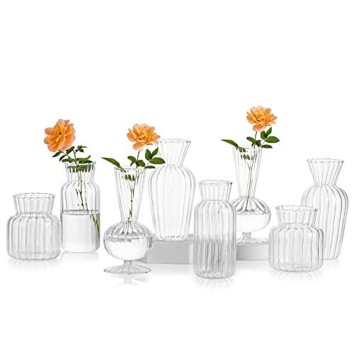 Jarrones Cristal para Flores Marca Hewory