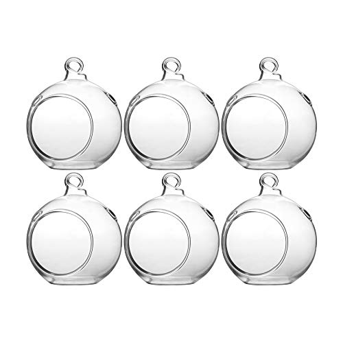 WGV Hanging Terrarium Globe, Width 2.5", Height 3", DIY Air