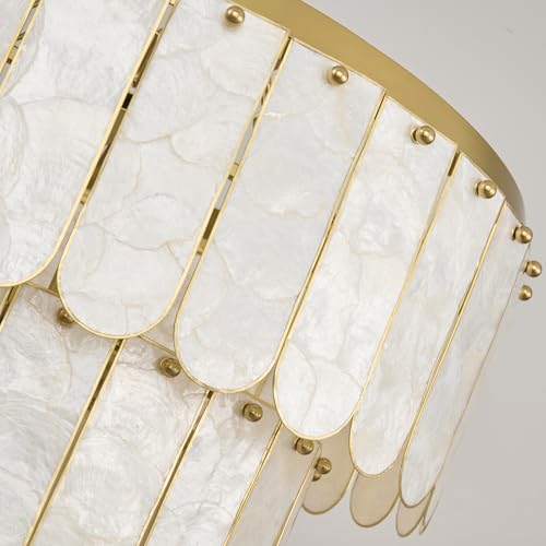 Gold Oyster Capiz Shell Chandelier: Natural Seashell Alabaster Chandeliers - Modern Coastal Dimmable Lighting Fixture - Shells Ceiling Pendant Light for Dining Room, Bedroom, Living Room and Foyer by MVLNB - Image 3