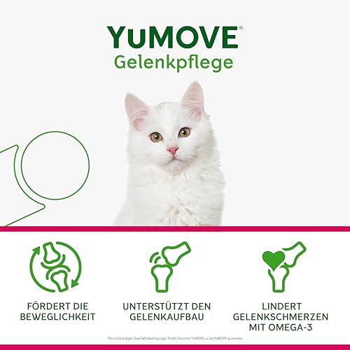 YuMOVE Grünlippmuschel Katze Gelenkkapseln - 60 Kapseln - Für Katzen ab 8 Wochen - Beweglichkeit und Gelenkkomfort - Mit Grünlippmuschelextrakt und Gelenk-Komplex Katze für aktive Unterstützung