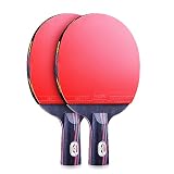 Palas de Ping Pong,Raquetas de Tenis de Mesa Profesional de 4/5/6 Estrellas,para Principiantes,Expertos,Entrenamiento,Competencia,2 Paleta de Ping Pong con Bolsa de Transporte y 10 Pelotas