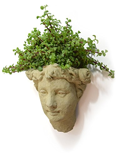 Modern Artisans American Made Lady's Head Bust Cast-Stone Outdoor Garden Wall Planter, Antique Stone Color, 12-Inches