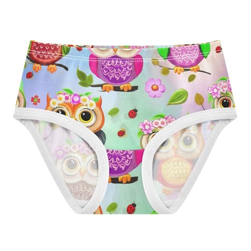 Cute Cartoon Colorful Owls Floral Girl Panties Cute Toddler Underwear Floral Cotton Fun Kids Briefs Undies 2t